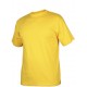 DAD T-shirt med logo tryk