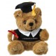 Bamse professor, 20x16cm, 144 gram,