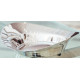 Finn Juhl cirkelfade 30cm Ø 794A172