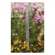 Havethermometer
