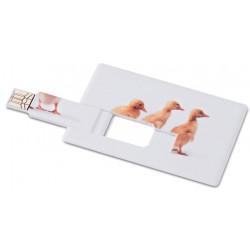 USB stik 4MB incl farvefoto 1001AA30