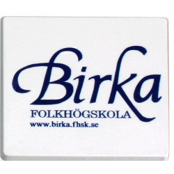 Køleskabsmagneter