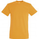 Soll´s Regent t-shirts incl farvefoto,  S11380-ZI-LA30