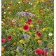 Blomsterfrø | Vilde danske blomsterfrø 500A154