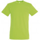 Soll´s Regent t-shirts incl farvefoto,  S11380-ZI-LA30