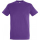 Soll´s Regent t-shirts incl farvefoto,  S11380-ZI-LA30