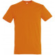 Soll´s Regent t-shirts incl farvefoto,  S11380-ZI-LA30