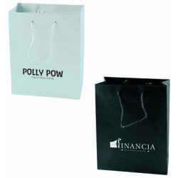 Mat laminerede papirposer 22x29x10cm.          201618A120