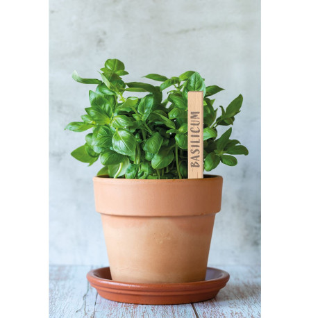 Blomstermarkører i bøg 258x16x3mm