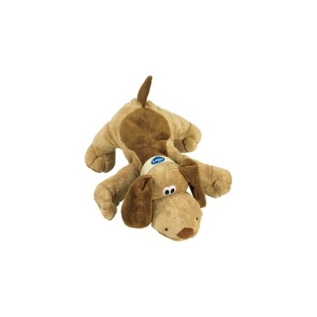 Sporhund med halsbånd